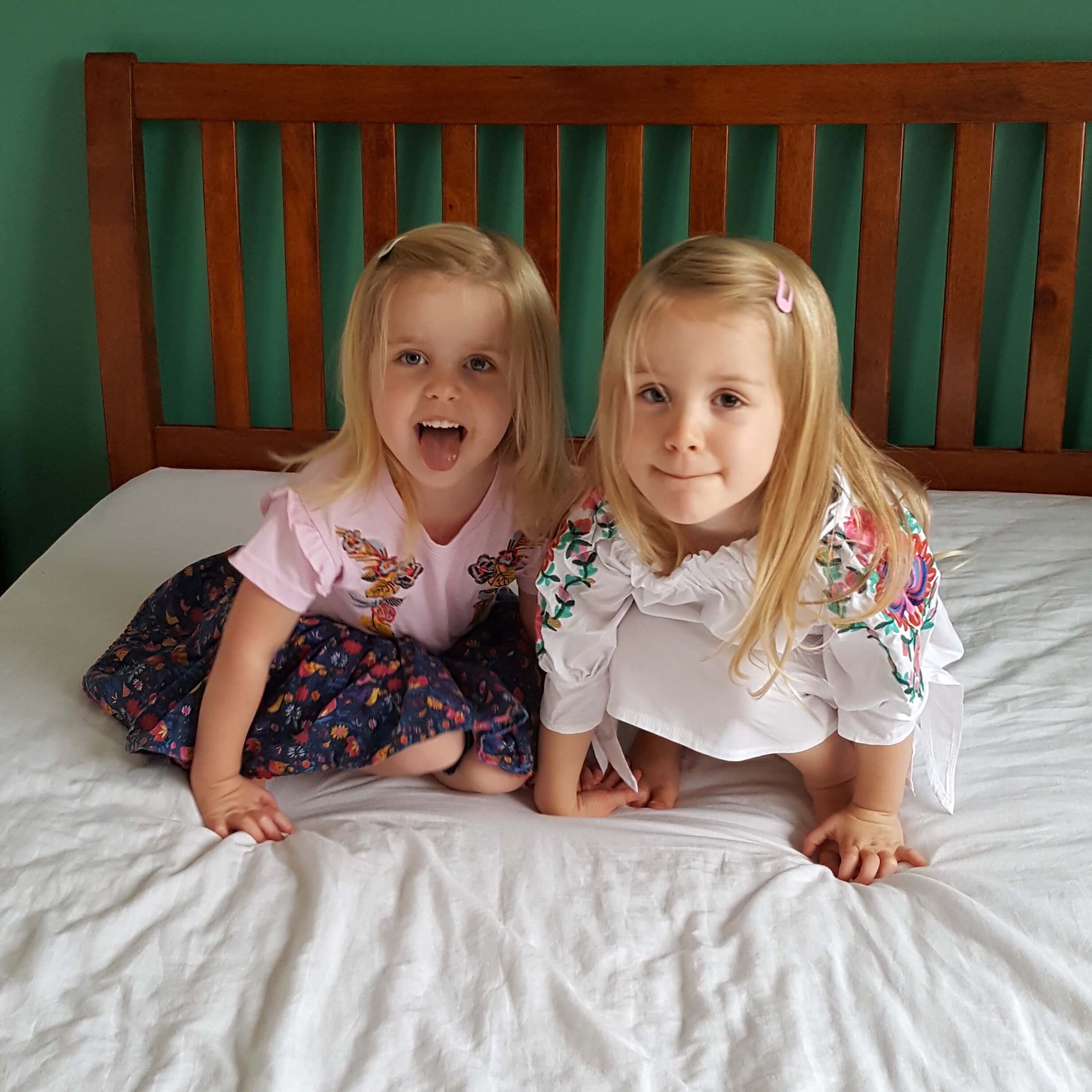 Twins Birthday Gift Guide for 4 Year Olds